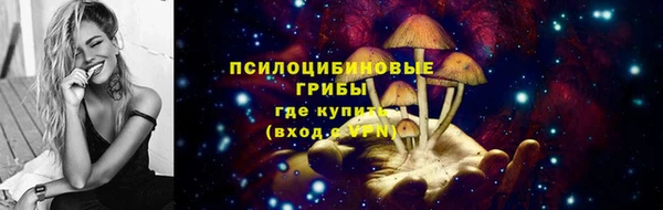 ешки Армянск