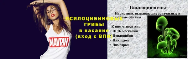ешки Армянск